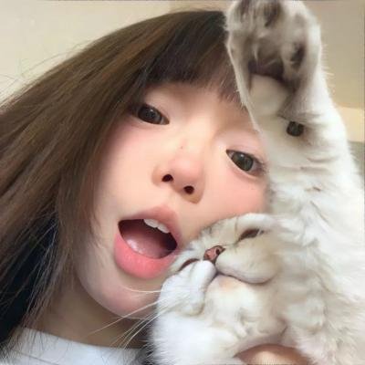 小鼠朋友